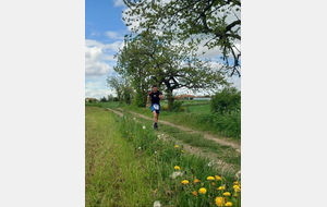 Trail des Coursières