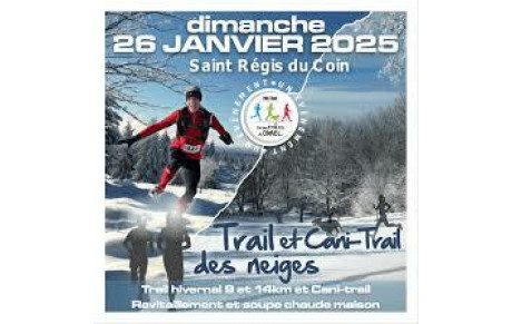 Cross des neiges 